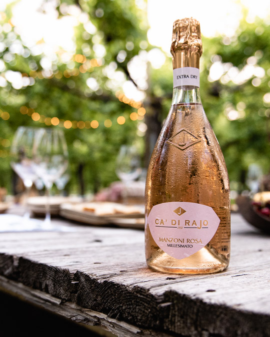 Degustazioni vini prodotti con metodo bellussera