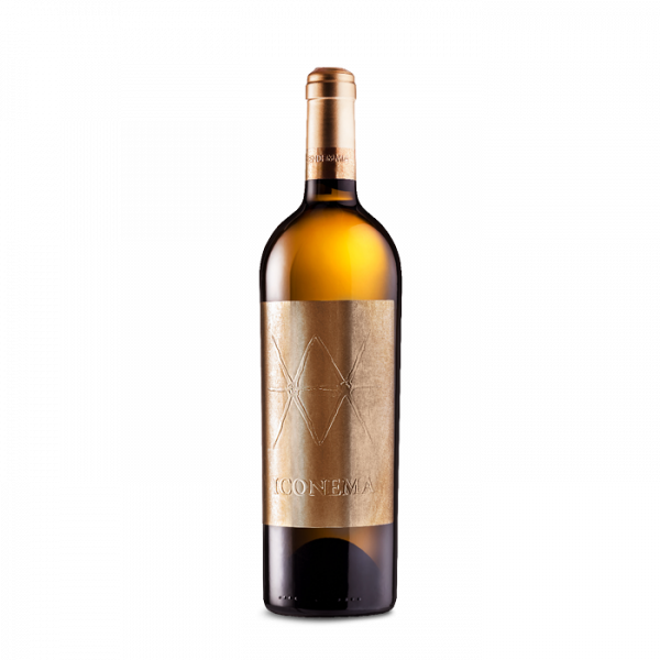 Iconema Tai DOC Piave